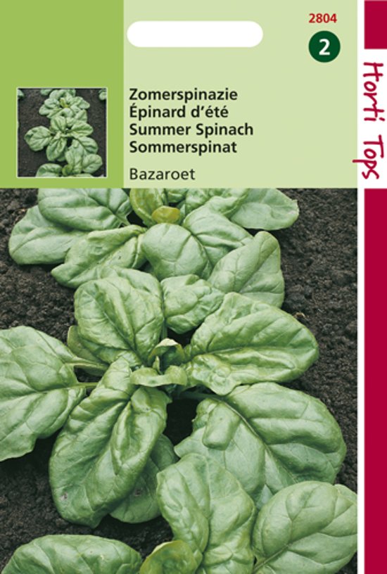 Spinazie Bazaroet (Spinacia oleracea) 1125 zaden